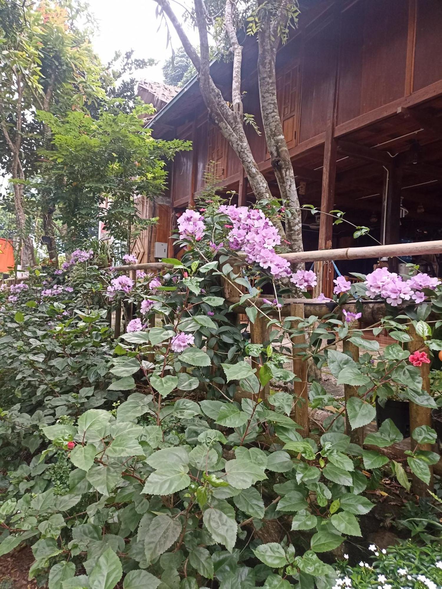 Thao Ly Homestay Mai Chau Hoa Binh ภายนอก รูปภาพ